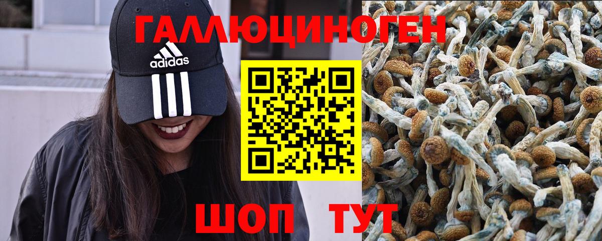 цена наркотик  Галлюциногенные грибы MAGIC MUSHROOMS  Вход с VPN  Минусинск  Псилоцибиновые грибы ЛСД 